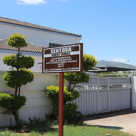 Sentosa Guest House Francistown Bagian luar foto