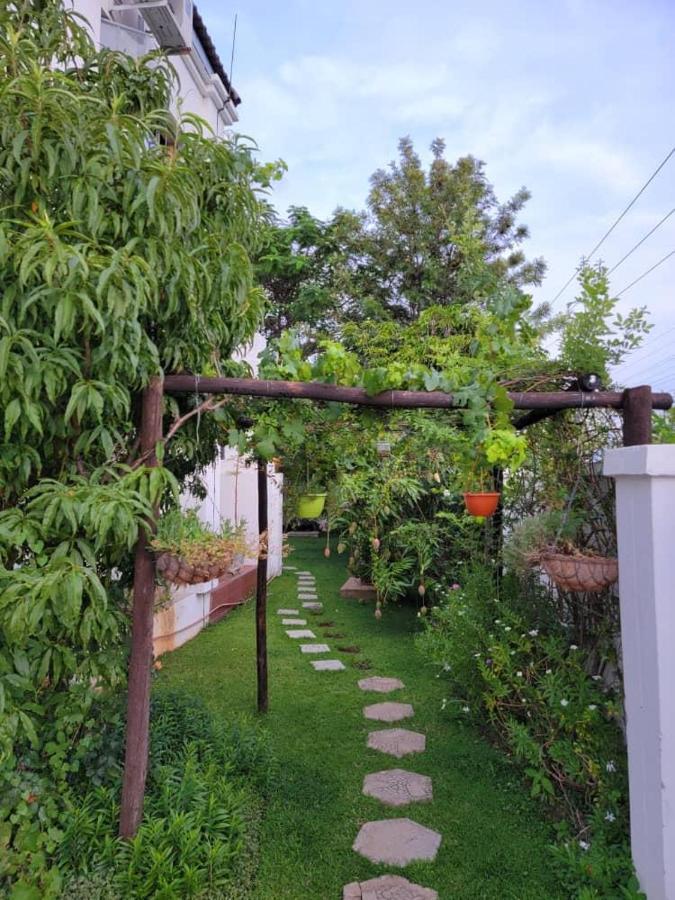 Sentosa Guest House Francistown Bagian luar foto